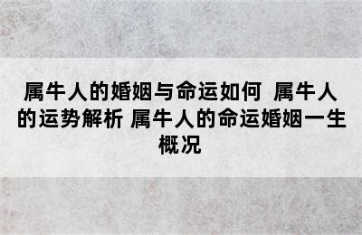 属牛人的婚姻与命运如何  属牛人的运势解析 属牛人的命运婚姻一生概况